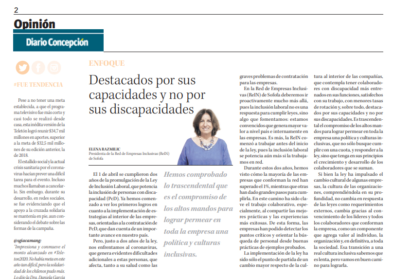 Columna Presidenta ReIN en Diario Concepcin: 
