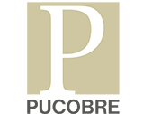 Logo Pucobre edit